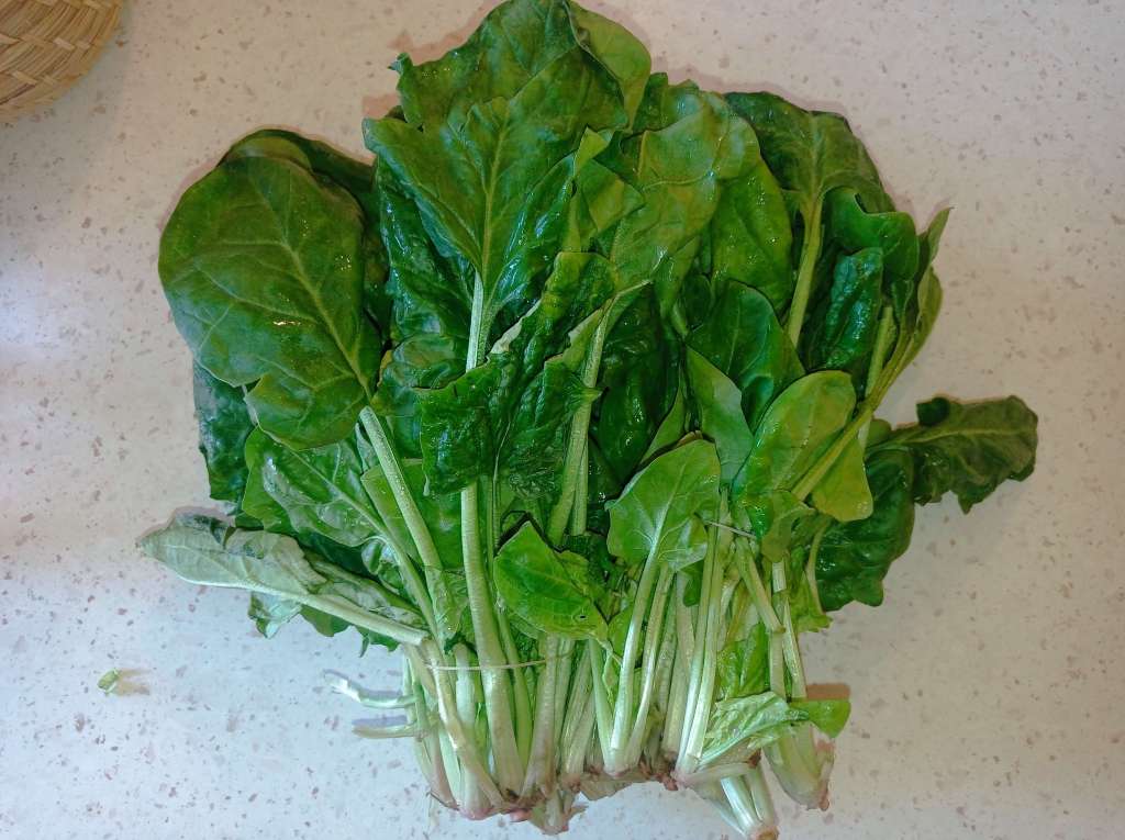 Fresh spinach bunches purchased from the market, arranged neatly on a kitchen countertop