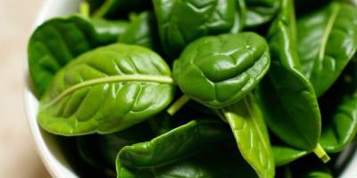 A white bowl filled with vibrant, fresh green spinach leaves, symbolizing healthy, seasonal produce