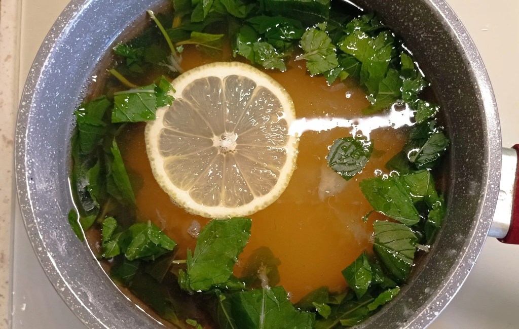 A pot filled with mint leaves, sugar, and a slice of lemon in liquid, prepared for boiling into syrup