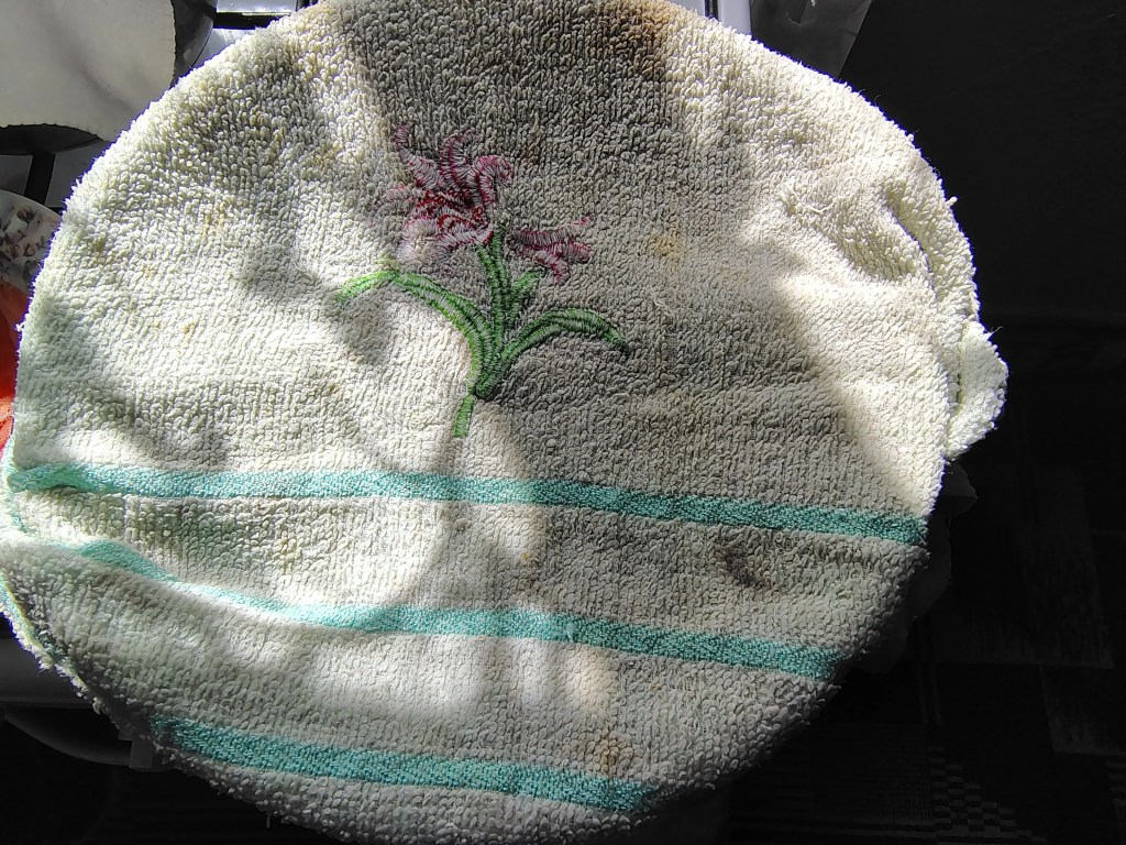 A pot covered with a damp towel to allow the strawberry preserve to cool slowly, a traditional Romanian method that helps keep the whole fruit intact.