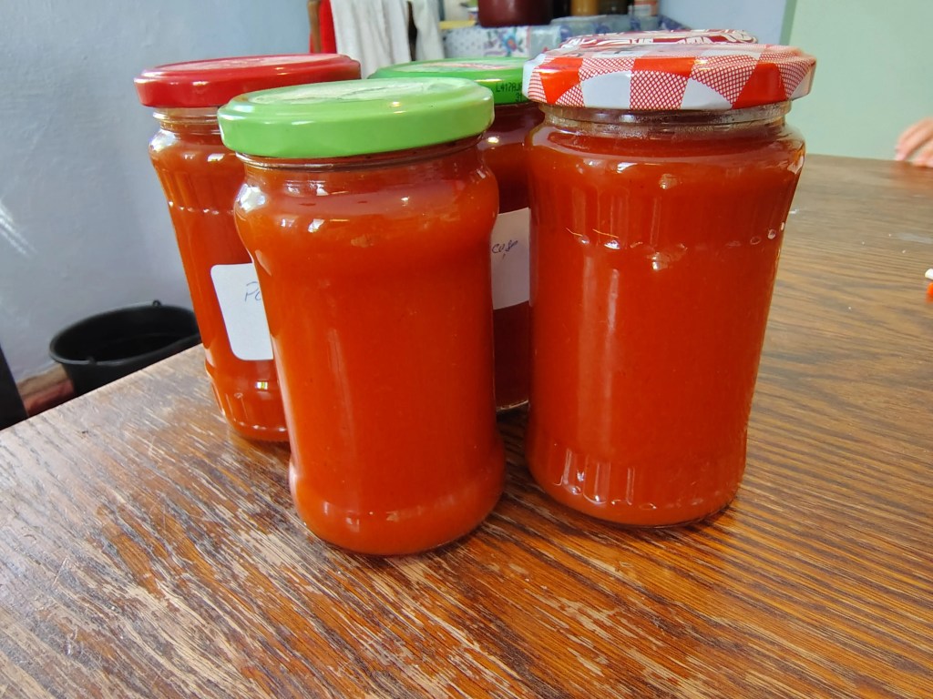 Jars filled with bright homemade rosehip paste, freshly sealed and ready for storage.