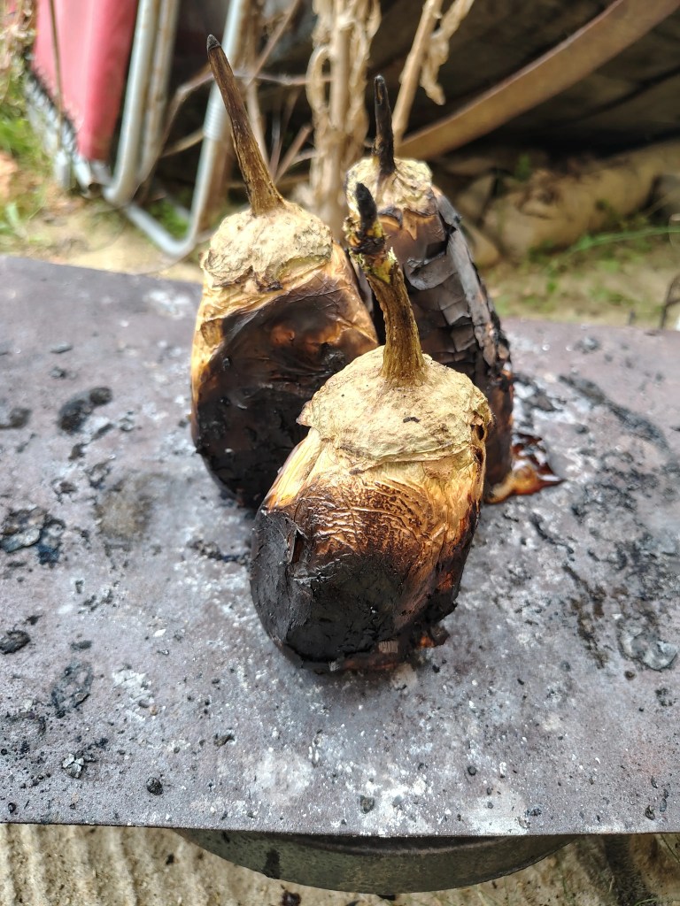 Fully roasted eggplants with charred skin, standing upright on a metal surface, showing the final stage of roasting before peeling