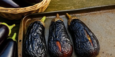 Whole roasted eggplants arranged on a tray, cooling and ready to be prepared for freezing